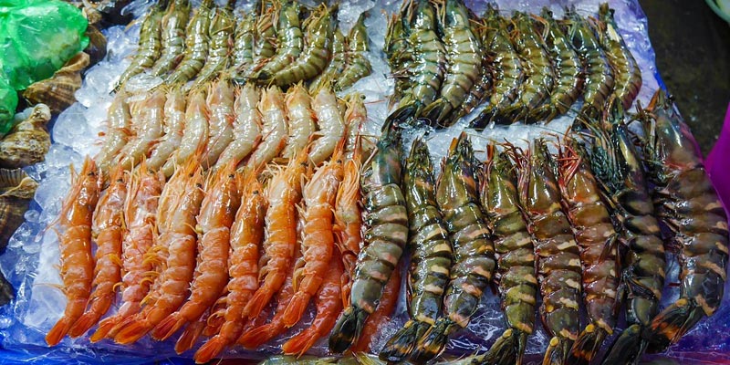 shrimp and prawns in a seafood market